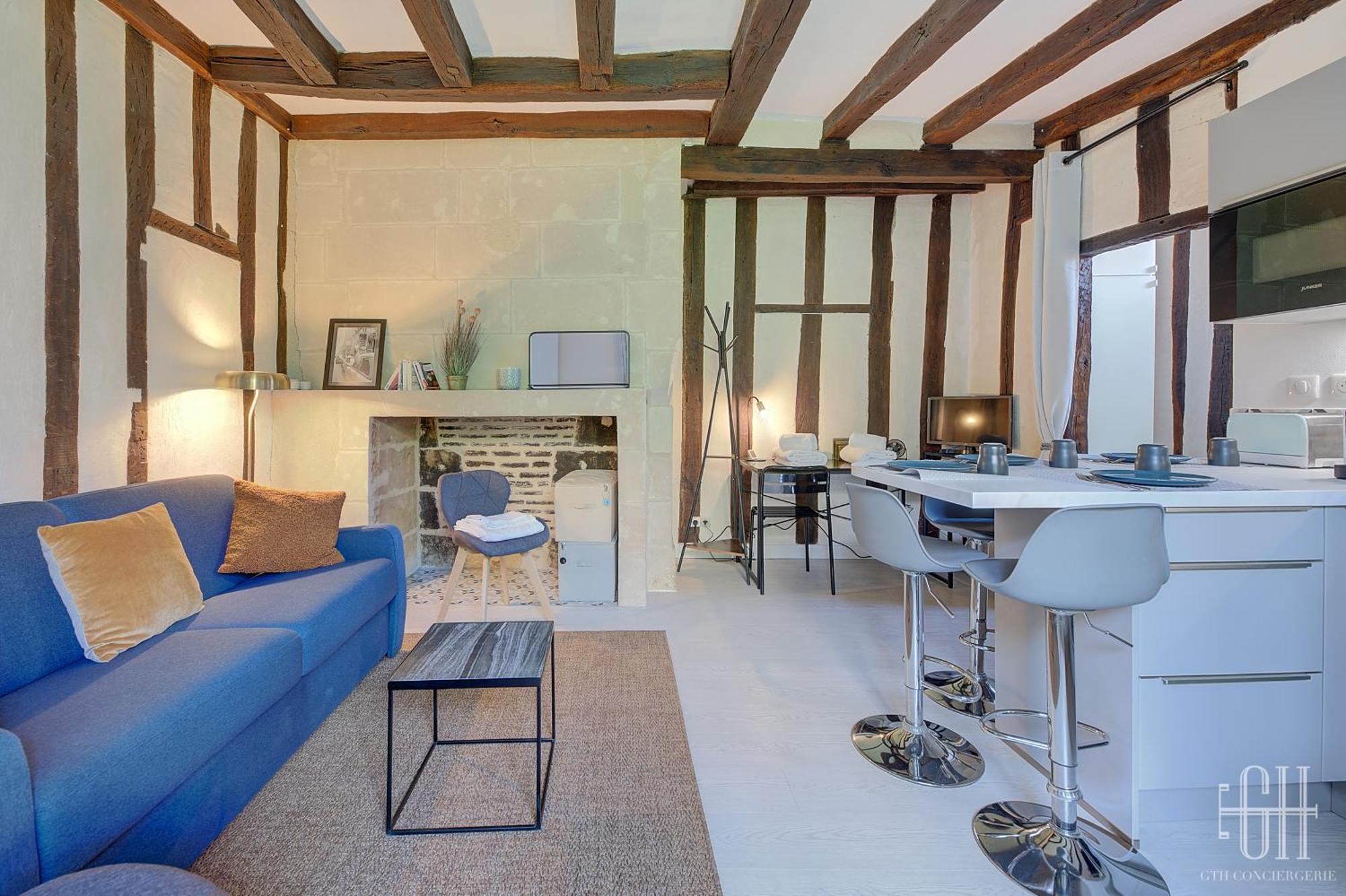 Cygne Jaune - Opera / Cathedrale Appartement